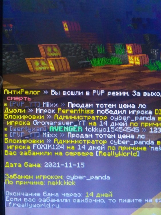 IMG_20211115_144156.thumb.jpg.8d36adbf72eae6666dc8d08c403b572e.jpg