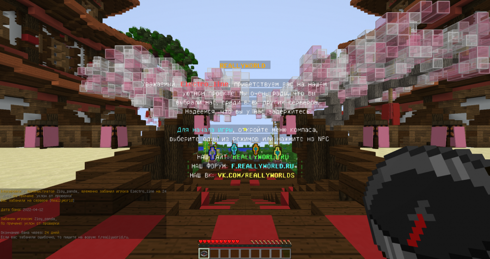2022-04-12_12_57_08.thumb.png.09bd6958f1afafff4b81915ad345f151.png