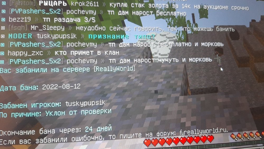 1660308442442.thumb.jpg.df99fee14edc910c4c147028b684e9e7.jpg