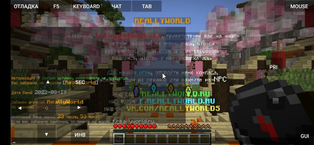 Screenshot_2022-08-19-10-48-35-344_net_kdt.pojavlaunch.thumb.jpg.65ab43812a4c257518c8d38b7bdaf4e4.jpg