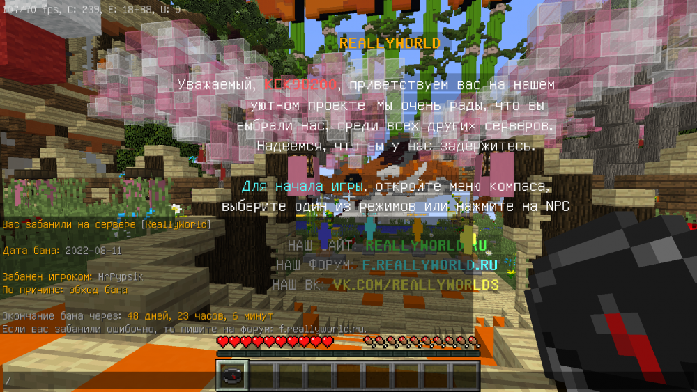 image.thumb.png.1ce2b092f10d6b0c3748a40469e5489b.png