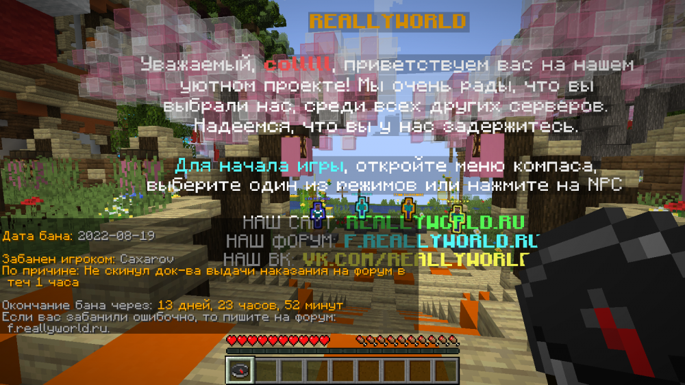 image.thumb.png.d90119ddb99f3d61ac63a30c99f3d4ad.png