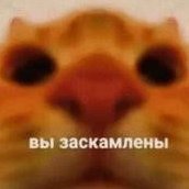 nak1ro