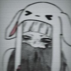 Suini
