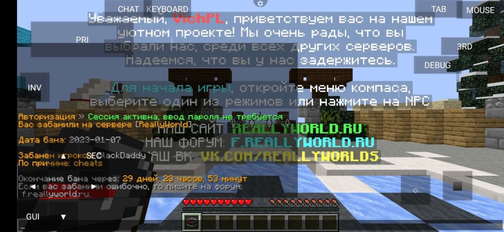 Screenshot_2023-01-07-16-42-47-282_net.kdt.pojavlaunch.jpg
