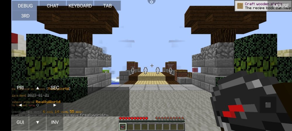 Screenshot_2023-01-21-13-09-01-391_net.kdt.pojavlaunch.jpg