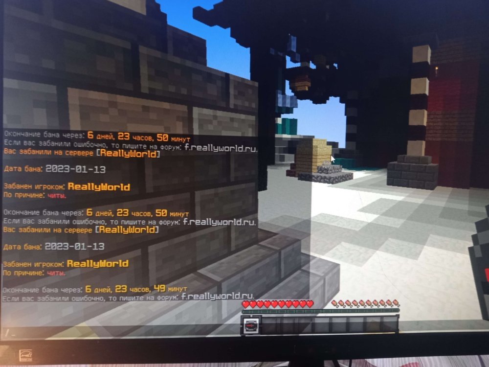 image.thumb.jpeg.e93cfd6a062ddbeca3637e8aa606d503.jpeg
