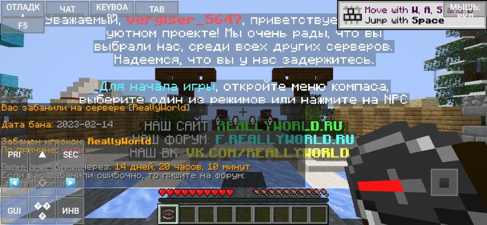 Screenshot_20230214-161707_PojavLauncher (Minecraft Java Edition for Android).jpg
