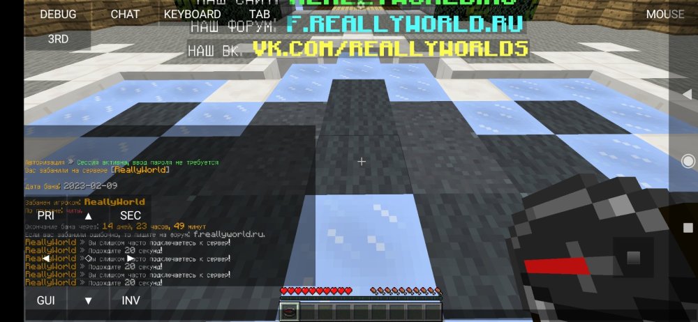 Screenshot_2023-02-09-12-54-45-924_net.kdt.pojavlaunch.jpg
