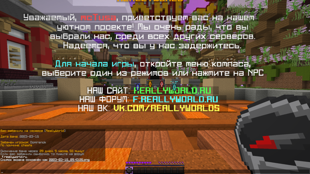 image.thumb.png.965a0916ab00f9ab8c1fe26043300567.png