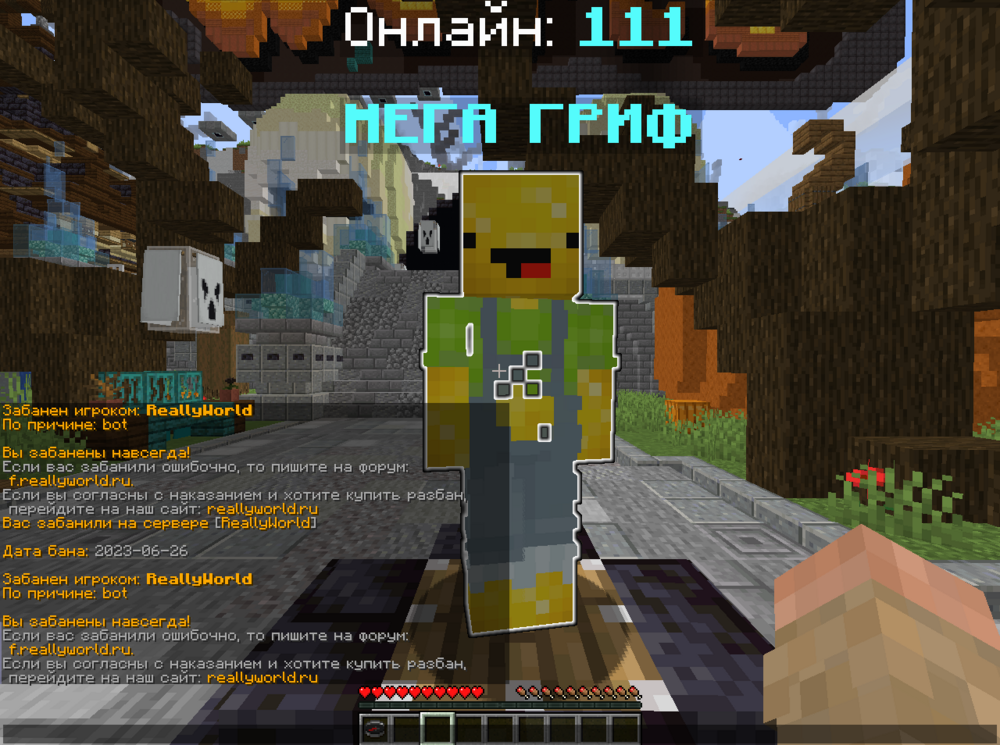 2023-11-08_13-02-57.png