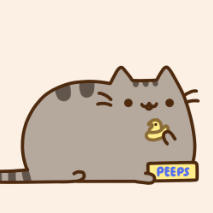 kitty_fluffy17