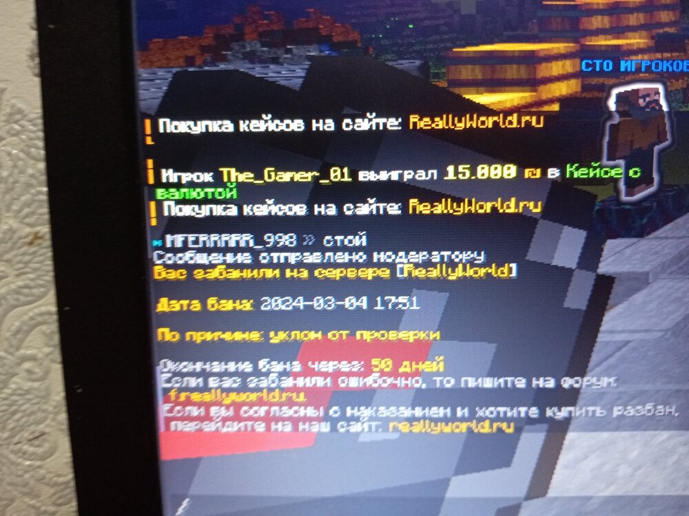 17095644784003492431726000399488.jpg