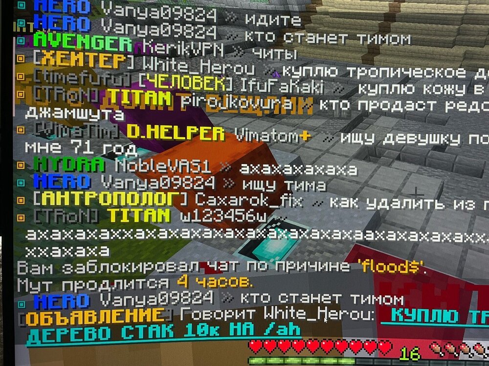 Чат.jpg