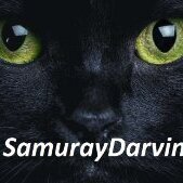 SamurayDarvinYT