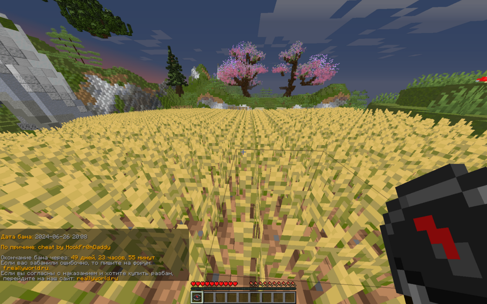 image.thumb.png.2cdba5e4ee75eac86ef41dced564f595.png