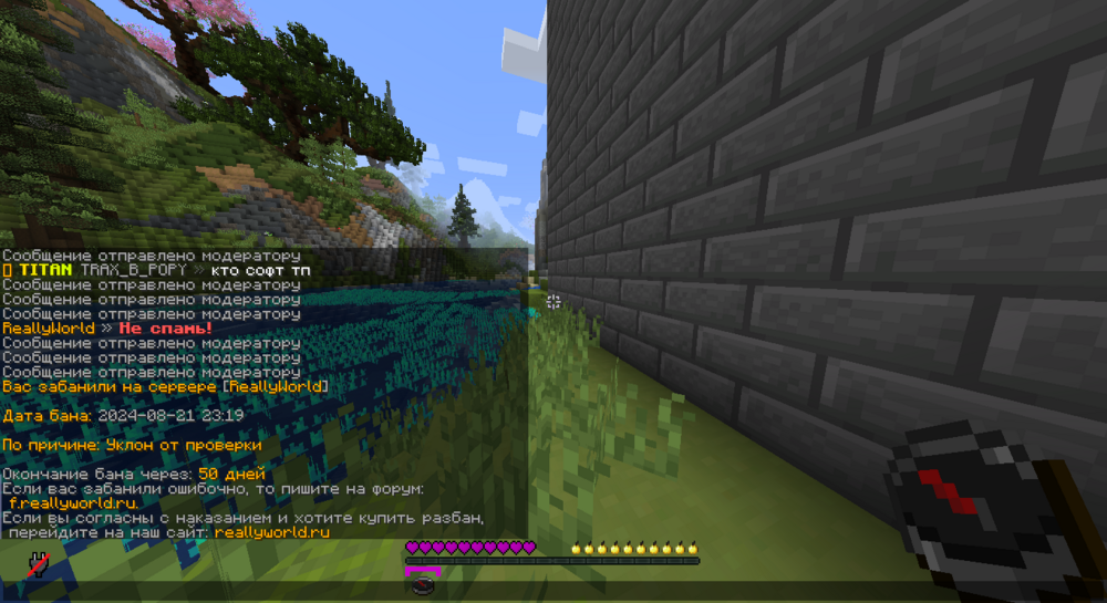 image.thumb.png.56e41da1536c7c2aa5c87a9d168bd894.png