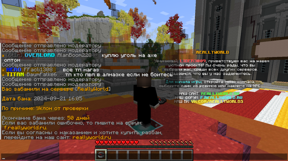 image.thumb.png.4371e942c034c62f2ca3532aa55db9b2.png
