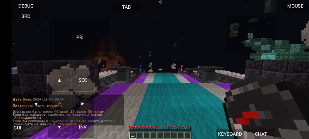 Screenshot_2024-11-03-19-46-08-656_net_kdt.pojavlaunch.thumb.jpg.d66db729d1eb3aca3368cc7ad04c016b.jpg