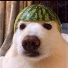 diz1k1337