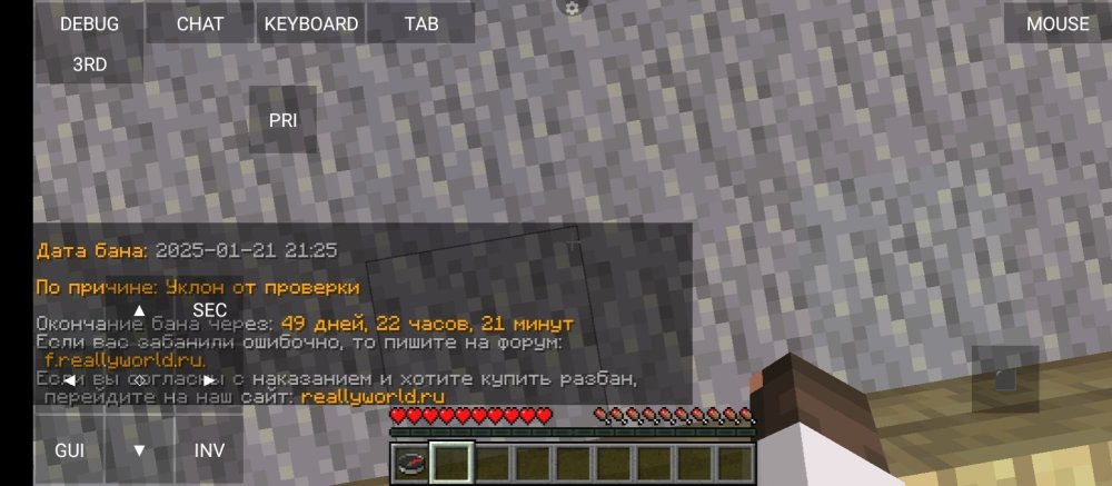 Screenshot_2025-01-21-23-04-24-424_net_kdt.pojavlaunch.thumb.jpg.6c2181bd6ad9bc641a00a6c665dec227.jpg