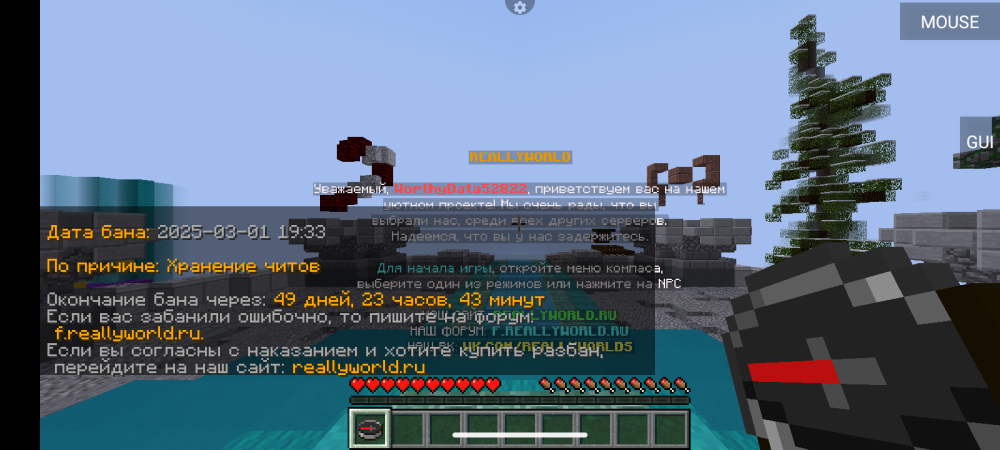 Screenshot_20250301-174959.png