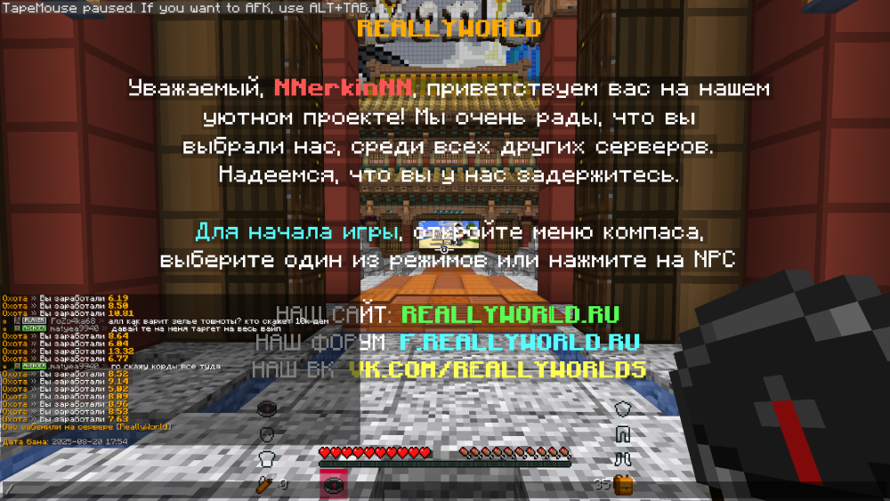 image.thumb.png.dedb3889bc4b72e1f88ca8ca18da6235.png
