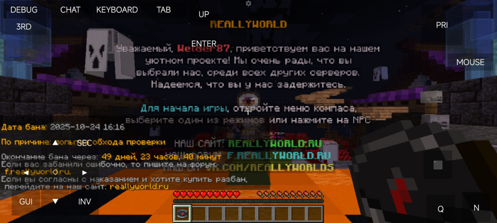 image.thumb.png.2717b220c1cae7cf2364f95af065a3a6.png