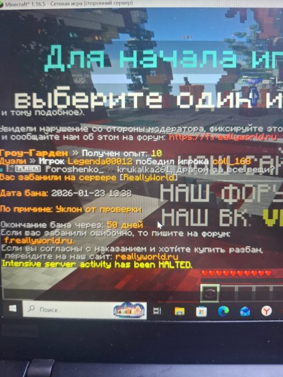 17691648251466316541557537494161.jpg