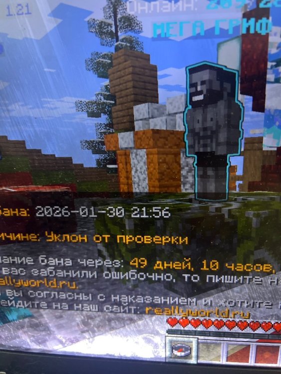 camphoto_758783491.jpeg