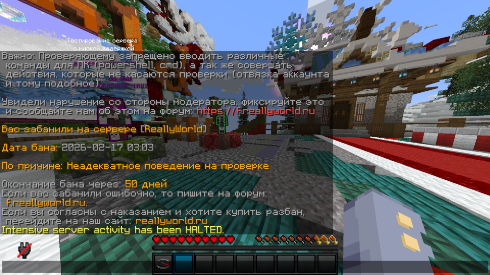 Minecraft Screenshot 2026.02.17 - 10.13.32.86.png