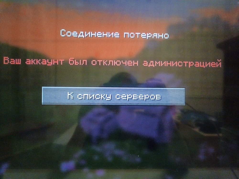 1774292633878309911592266430895.jpg