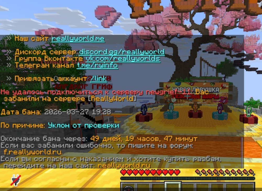 IMG_20260327_235421_774.jpg