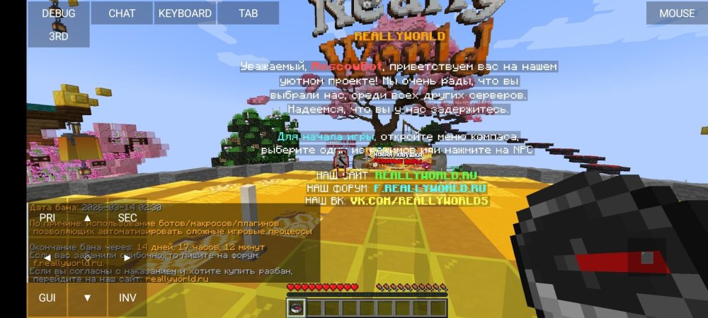 Screenshot_2026-03-14-09-18-39-604_net.kdt.pojavlaunch.jpg