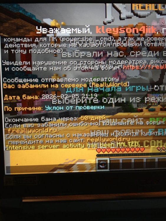 image.thumb.jpeg.30ed7462cfab4b983c94bf44e6613f5f.jpeg