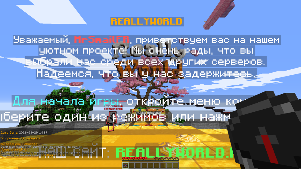 image.thumb.png.5d49282d28198e45345a94a305546669.png