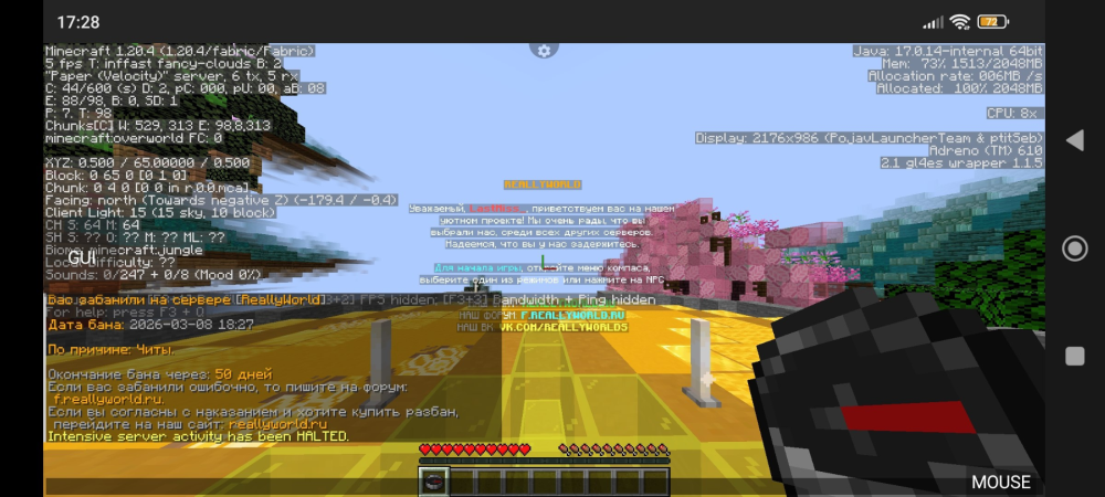 image.thumb.png.9250674777ad80772ef837b9e11ba2be.png