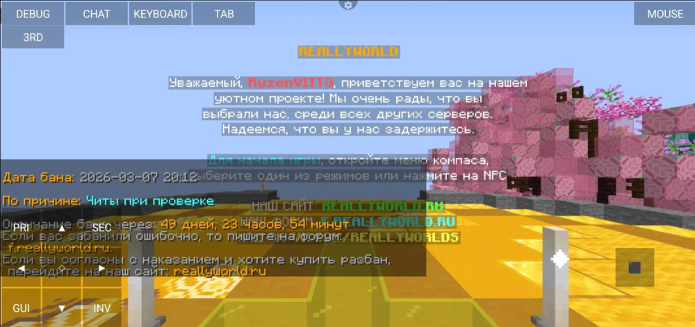 image.thumb.png.c238a299db85dd748167d0f229aba7ee.png