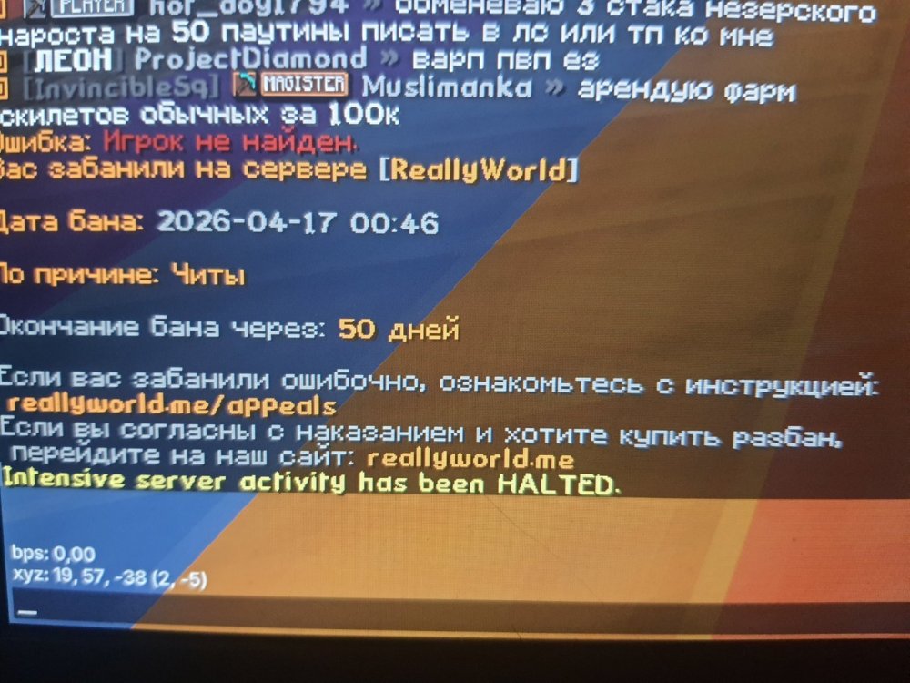 20260417_004955.jpg