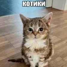 bob_5