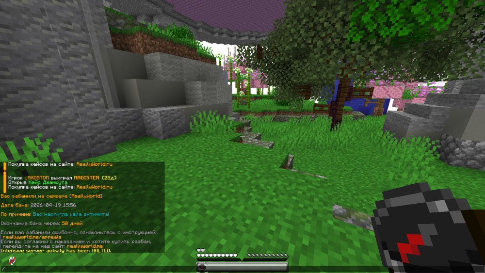 image.thumb.png.8c0efbc2e8895e26c295401ff14ce15d.png