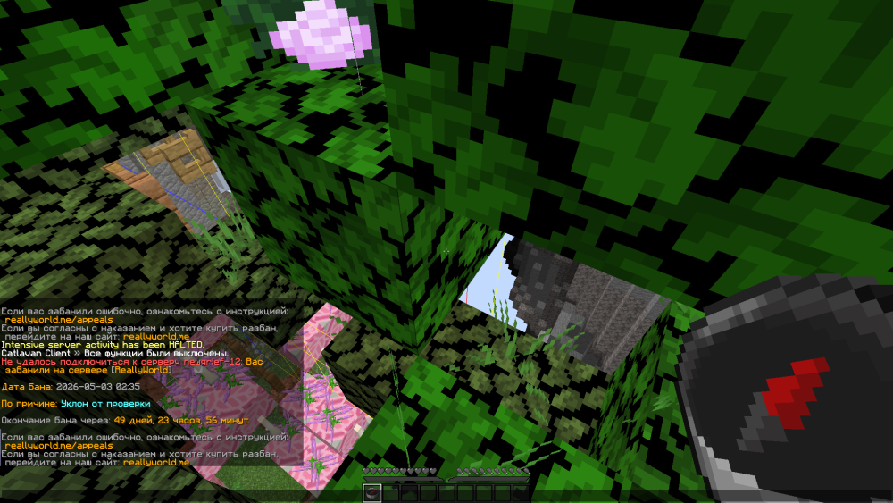 image.thumb.png.0a4940e2bfb8ce3f24e4ee327ea5bc78.png
