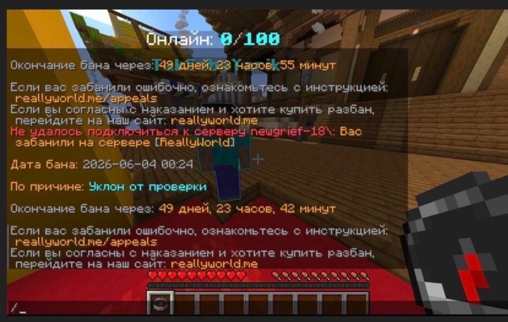 IMG_4993.jpeg