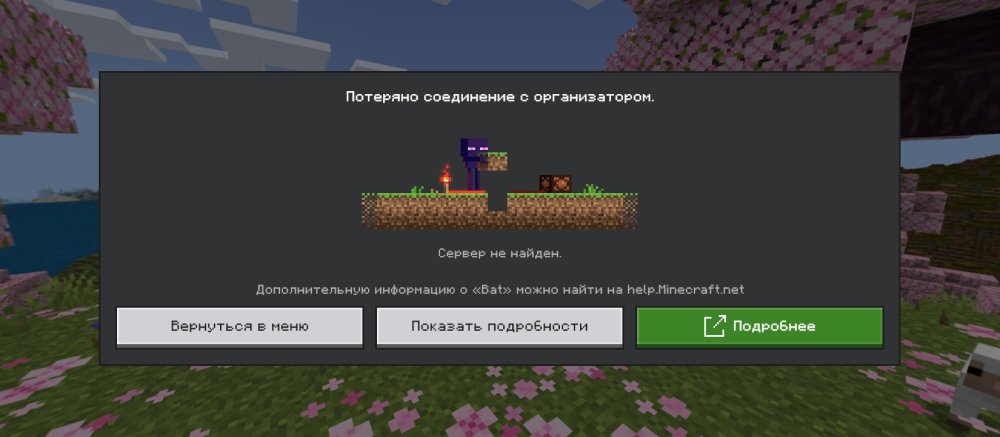 Screenshot_2026-06-10-18-40-50-447_com.mojang.minecraftpe.jpg