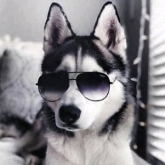 yasha777