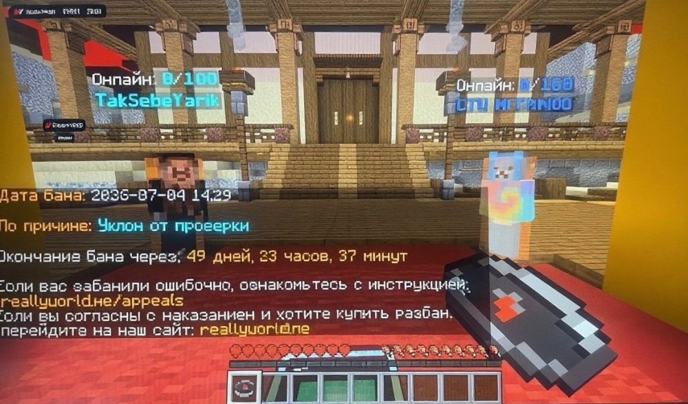 IMG_0433.jpeg
