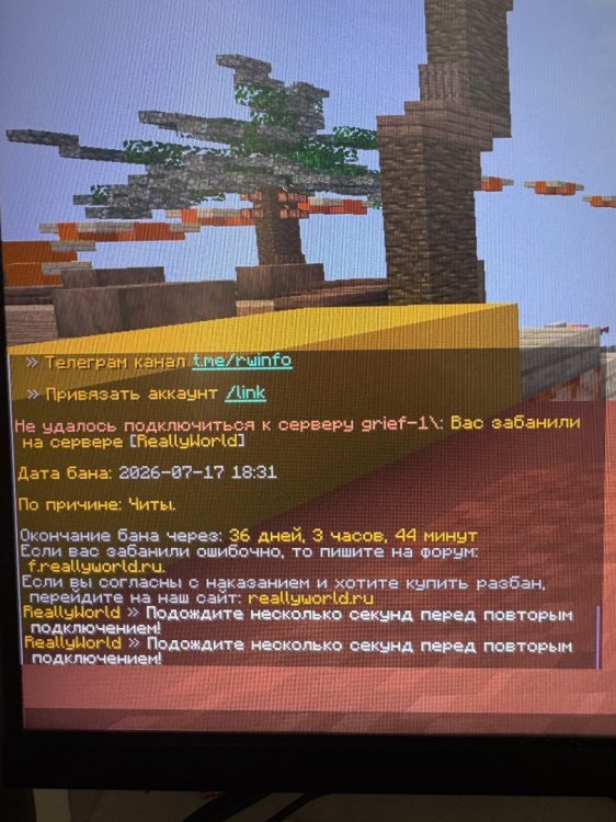 image.jpeg