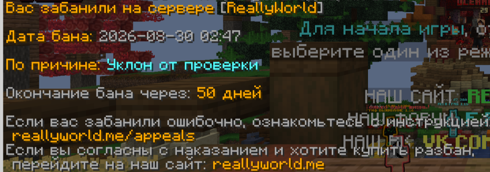 2026-08-30_09-55-34.png