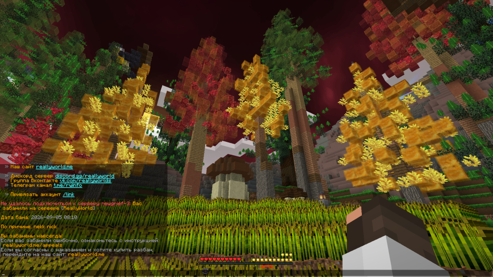 2026-09-06_13.55.39(2).png