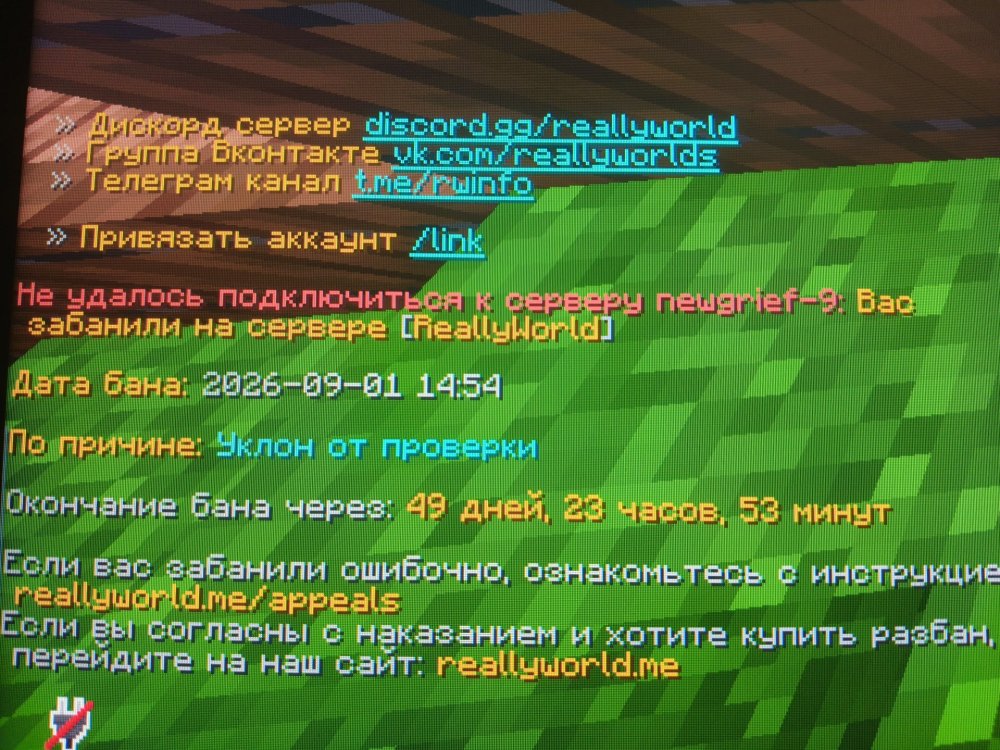 IMG20260901170206.jpg